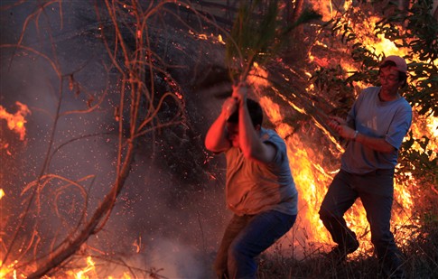 S�bado de muito calor com mais de 220 inc�ndios registados